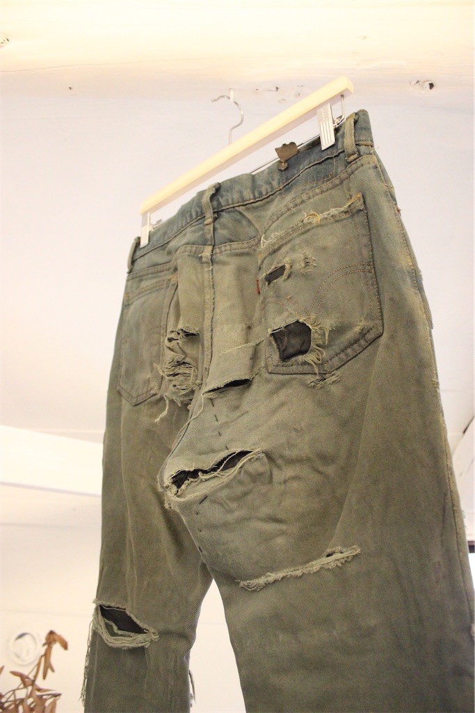 f:id:thenormanatticbirds:20220225213521j:image