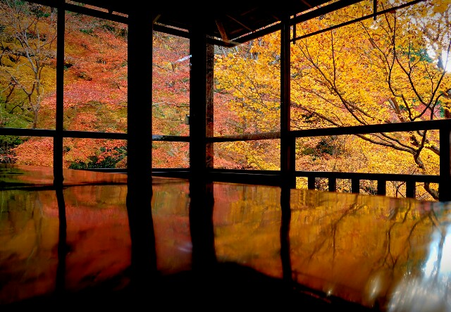f:id:theparkokayama:20171129114516j:image f:id:theparkokayama:20171129114516j:image