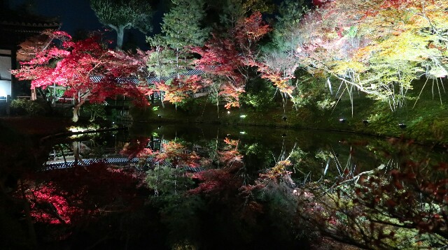 f:id:theparkokayama:20171129114605j:image f:id:theparkokayama:20171129114605j:image