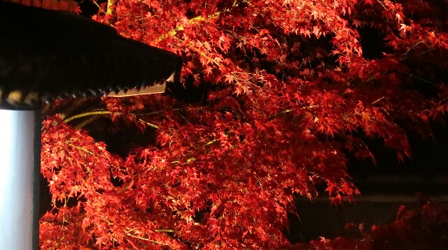 f:id:theparkokayama:20171130215028j:image f:id:theparkokayama:20171130215028j:image