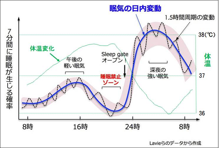 睡眠の段階