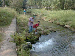 f:id:therapilasis:20181217224859p:plain