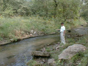 f:id:therapilasis:20181217224922p:plain