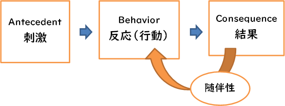 基礎心理学ー学習について ー Therapist Works