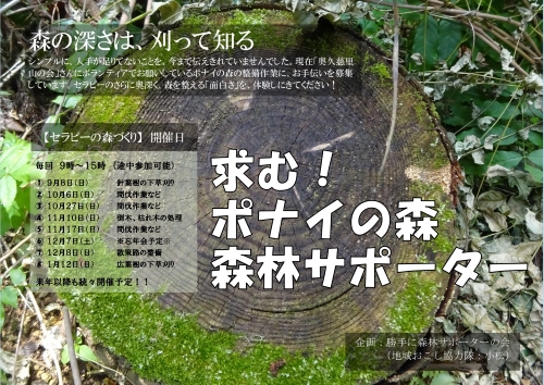 f:id:therapymanabu:20190904174834j:plain