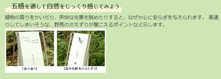 f:id:therapymanabu:20190906160655j:plain