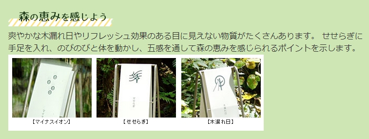 f:id:therapymanabu:20190906160659j:plain