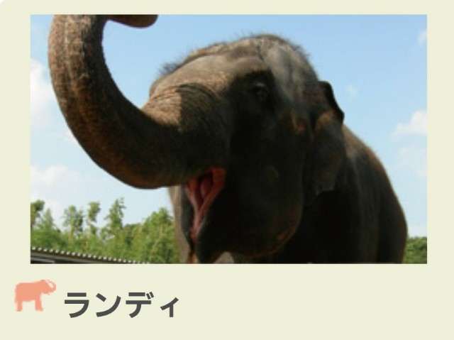 動物と会話するとは Slothの森