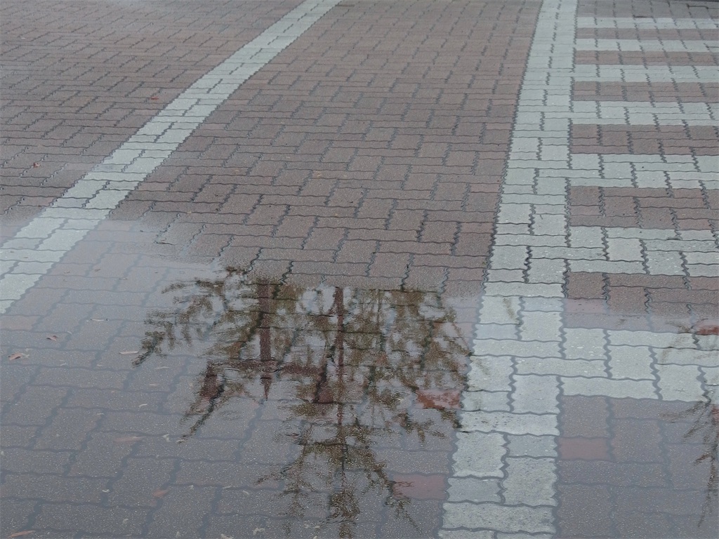 f:id:thesailcanvas-k:20230415203057j:image f:id:thesailcanvas-k:20230415203057j:image