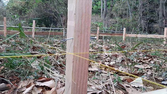 f:id:thesaviour:20210411095540j:plain