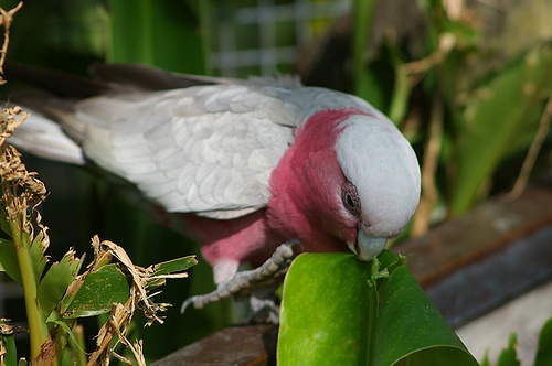 f:id:thescript1210:20180318122852j:plain f:id:thescript1210:20180318122852j:plain