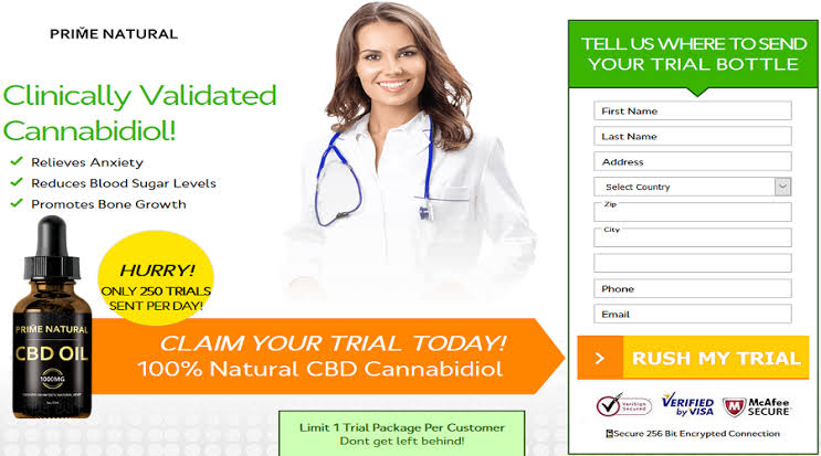 f:id:thesupplementstudy:20200204145004j:plain f:id:thesupplementstudy:20200204145004j:plain