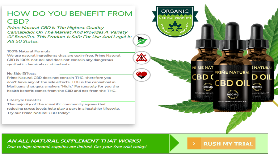 f:id:thesupplementstudy:20200204145029p:plain f:id:thesupplementstudy:20200204145029p:plain