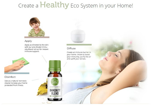 f:id:thesupplementstudy:20200317152027j:plain f:id:thesupplementstudy:20200317152027j:plain