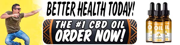 f:id:thesupplementstudy:20200610002233j:plain