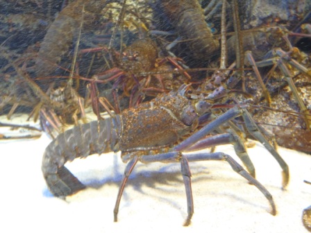 f:id:theta237:20110807141504j:image