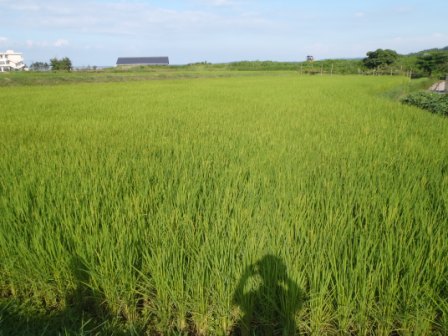 f:id:theta237:20110808161825j:image