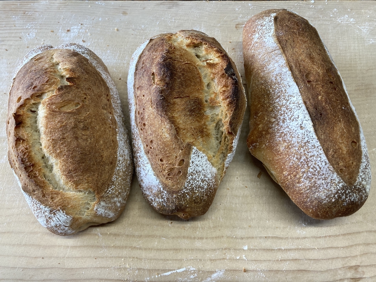 f:id:theta_proto:20210124133103j:plain