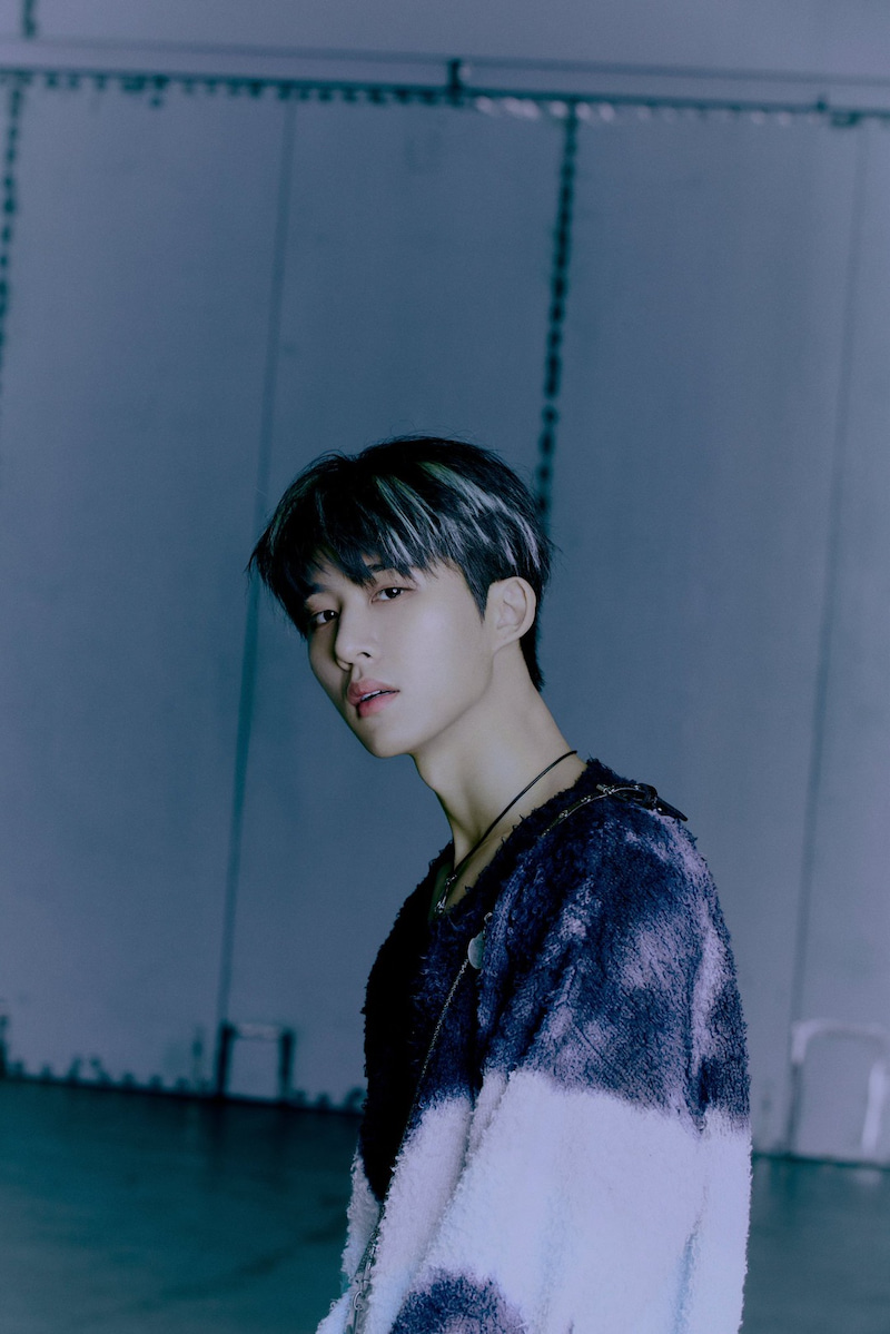 f:id:theteenday:20210618155512j:plain