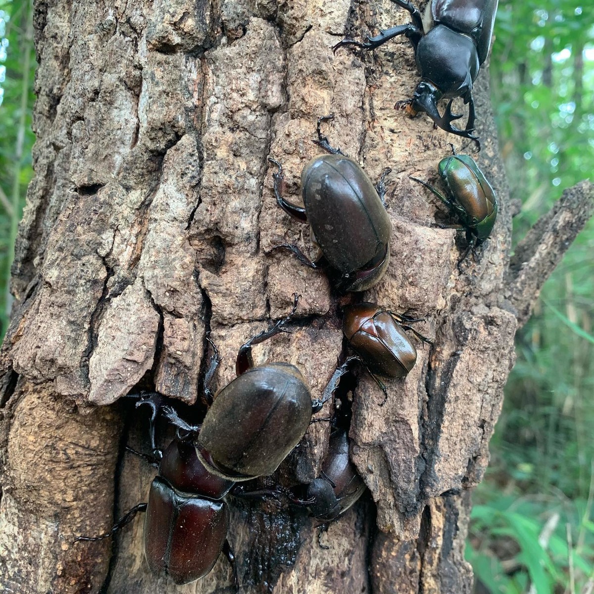 竜馬がゆくとは 読書の人気 最新記事を集めました はてな