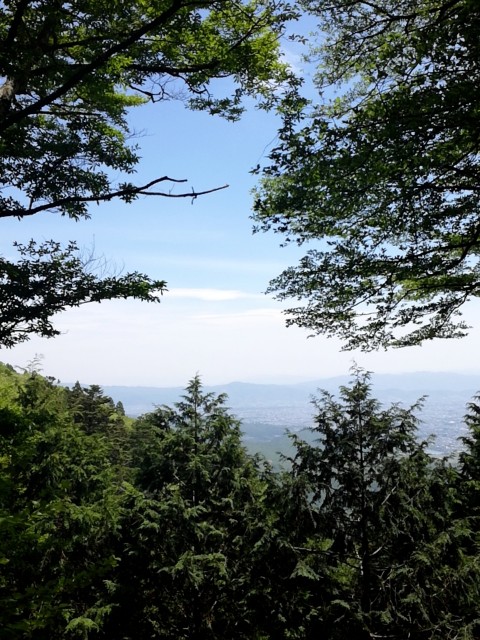 f:id:theyare:20180506231108j:image f:id:theyare:20180506231108j:image