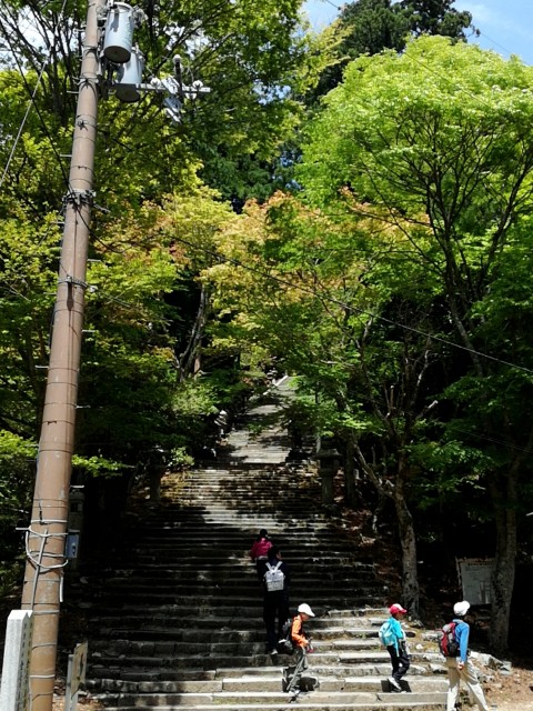 f:id:theyare:20180506231557j:image f:id:theyare:20180506231557j:image