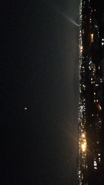 f:id:theyare:20211120110217j:image f:id:theyare:20211120110217j:image