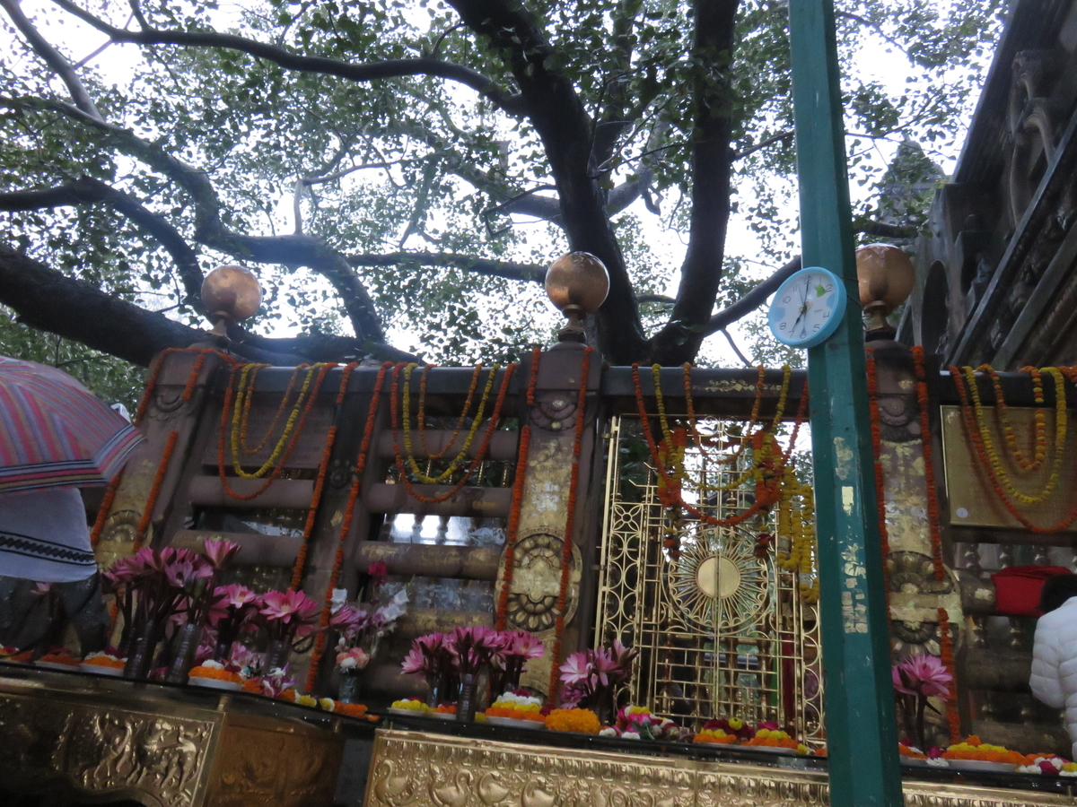 f:id:thierrybuddhist:20190409151207j:plain f:id:thierrybuddhist:20190409151207j:plain