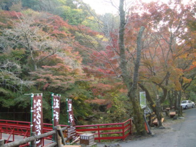 f:id:thiisuke:20101108152909j:image