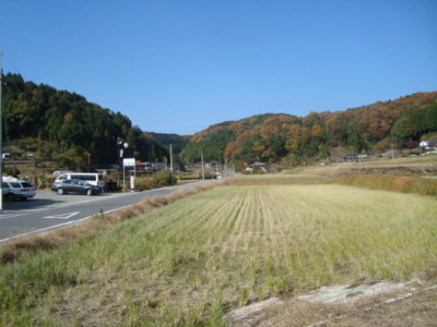 f:id:thiisuke:20101120112609j:image