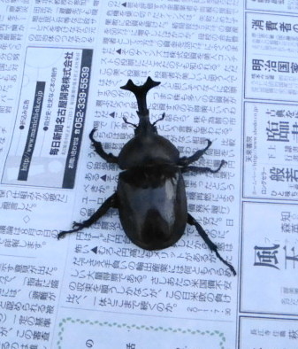 20110730053008