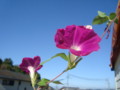f:id:thiisuke:20110924062144j:image:medium