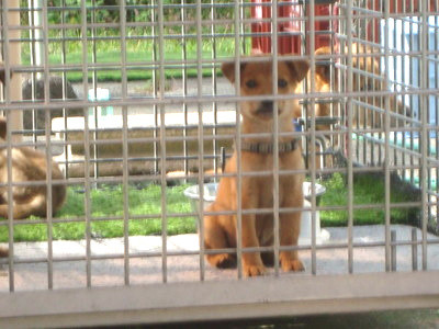 20111021113716