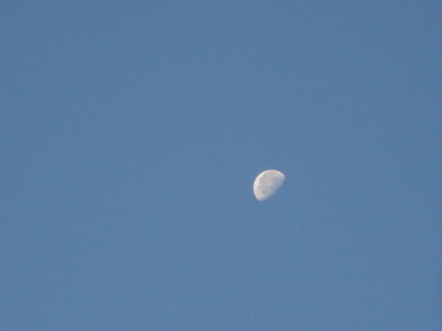 20111117072355