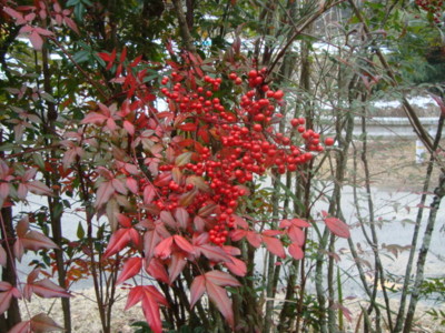 20111229141953
