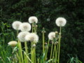 f:id:thiisuke:20120508105228j:image:medium