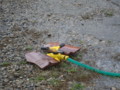 f:id:thiisuke:20120803115024j:image:medium
