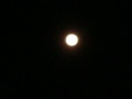 f:id:thiisuke:20121031054831j:image:medium:left