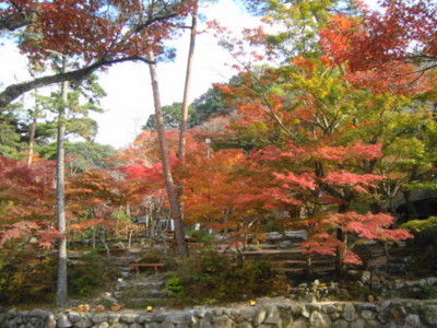 f:id:thiisuke:20121106170030j:image:w360