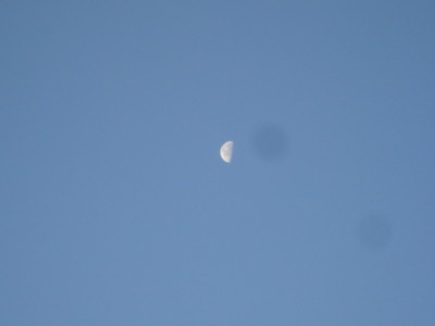 f:id:thiisuke:20130502053057j:image:w360:left