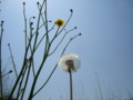 20130508091958