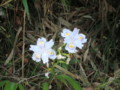 20130511100038