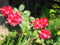 20130511100040