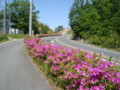 20130515054401