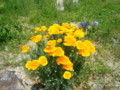 20130516120530