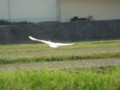20130516120532