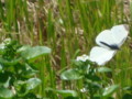 20130517082849