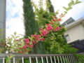 20130521082244