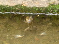 20130522082632