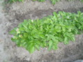 20130523062558